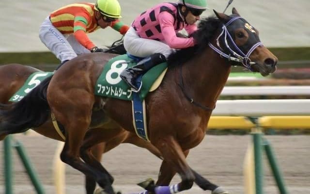 半兄たちは3歳春から重賞V 期待の妹が名前の通り初戦から“才能”発揮なるか