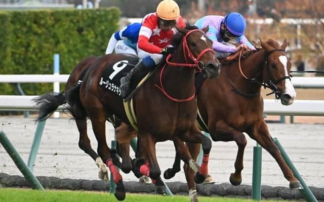 【つわぶき賞結果】ルージュラナキラが最後方からの直線一気で無傷2連勝