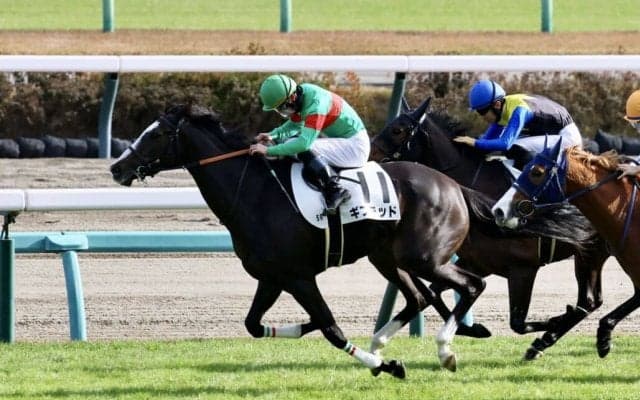 【新馬/中山5R】良血ギフテッドが快勝…ファントムシーフ半妹