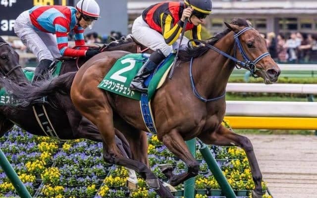霜降り明星・粗品が阪神JFを予想 「枠も最高」とアルテミスS覇者を本命指名