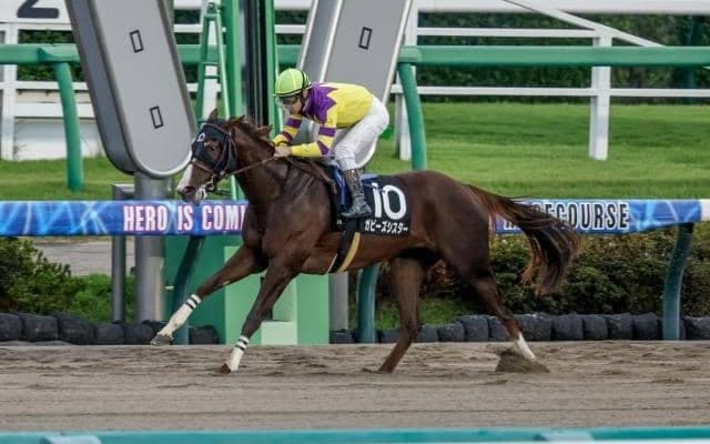 【カペラS予想】ダート界の短距離巧者、師走の中山に集う スピードだけなくタフさも必須