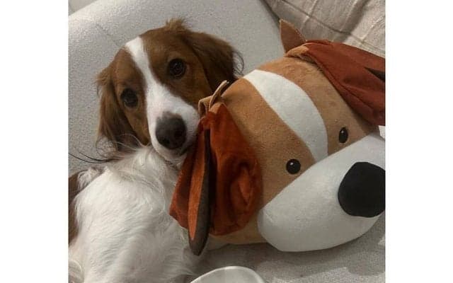 デコピン“愛用”の激レアグッズ「販売して」　要望殺到…大谷の投稿で話題「欲しすぎる」