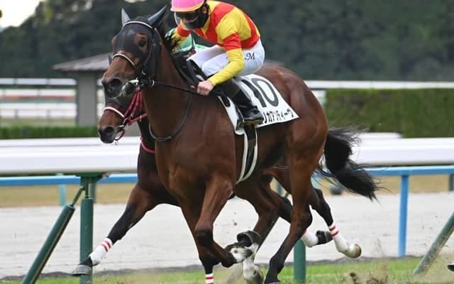 【京都5R新馬戦結果】オスカーパフォーマンス産駒エリカアンディーヴが初陣飾る