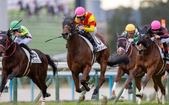 【新馬/京都5R】外国産エリカアンディーヴがデビューV…人気のスティレセイルは9着