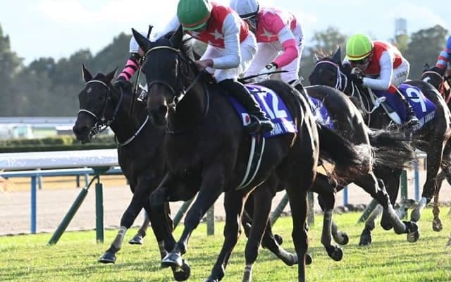 【阪神JF結果】2歳女王はアルマヴェローチェ！ 岩田望来騎手がJRA・GI初制覇！