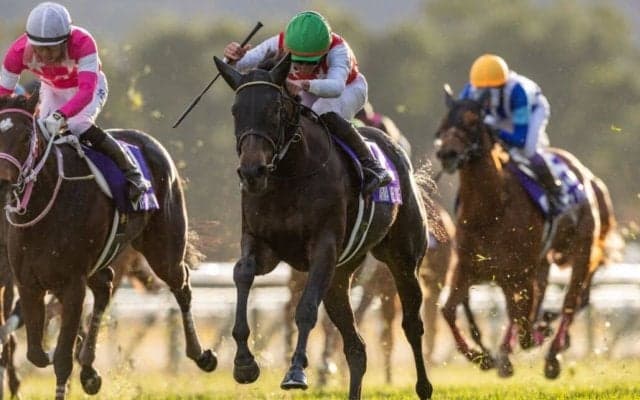 【阪神JF】アルマヴェローチェが大外から突き抜ける…米メイデイレディは着外