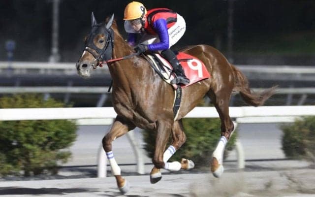 【高知・長浜特別】ユメノホノオが快勝…吉原「つぎに繋がる」