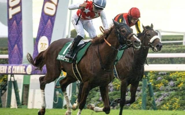 2歳マイル王者決定戦・朝日杯FSと地方では全日本2歳優駿/今週の競馬界の見どころ