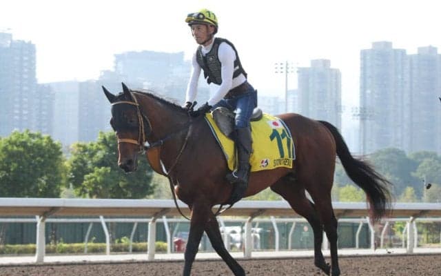 【香港スプリント】サトノレーヴは健闘の3着…モレイラ「彼の走りには満足しています」