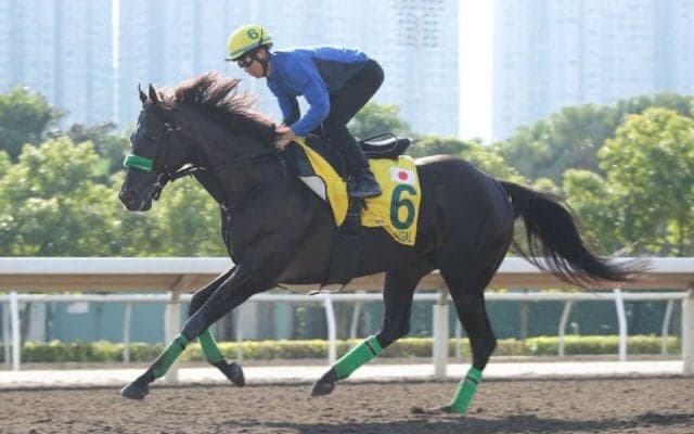 【香港スプリント】西村淳「申し訳ないです」ルガルは出遅れ響いて11着敗退