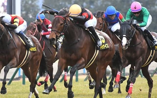 【ターコイズS見どころ】ドゥアイズが待望の重賞初勝利を狙う