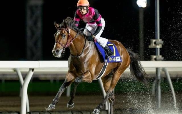 【川崎・全日本2歳優駿枠順】ソルジャーフィルドは5枠5番、ナチュラルライズは6枠6番