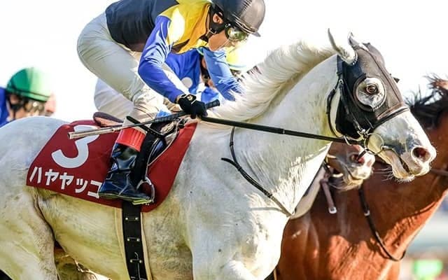 【有馬記念出走馬決定順】フルゲート16頭に対して22頭が登録 ハヤヤッコまで出走可能