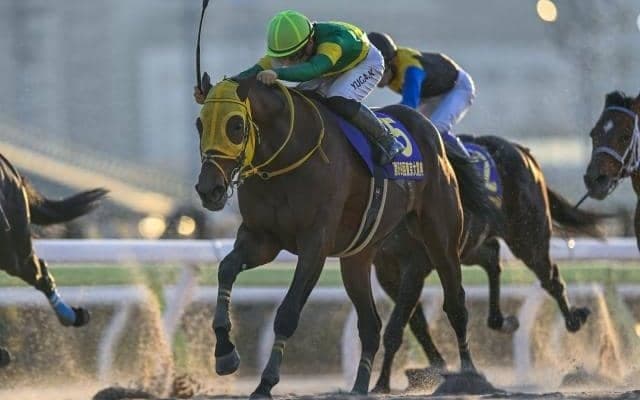 【東京大賞典】中央・地方の選定馬16頭が発表 ウシュバテソーロやフォーエバーヤングなど