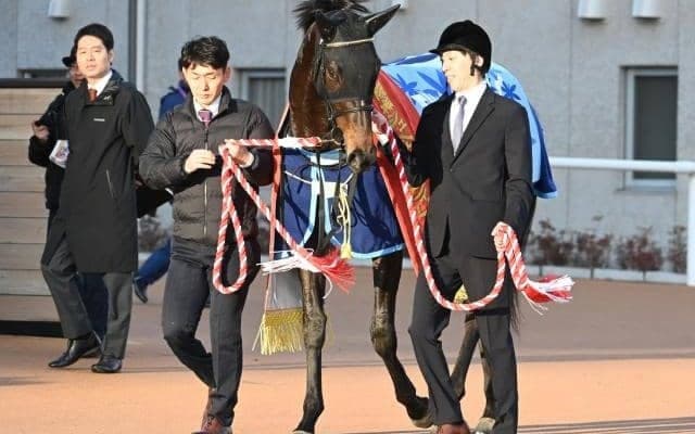 2歳女王に輝いたアルマヴェローチェ 父と母父の“対照的な特長”とは