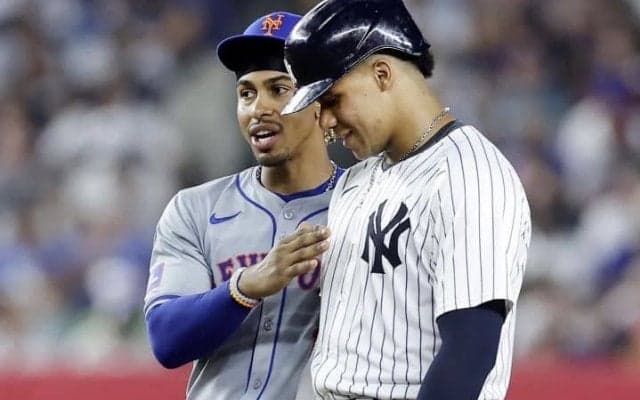 「本当に情けない」ソトの史上最高契約にヤ軍ファンが怒り心頭　ユニフォームを燃やす動画に批判の声も「だから移籍したんだ」