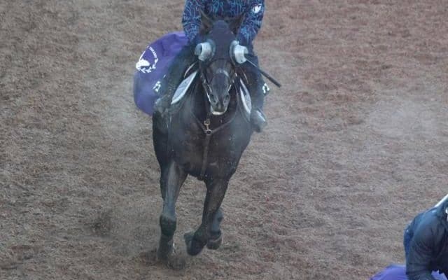 クロワデュノールなど、先週の入厩情報/栗東トレセンニュース