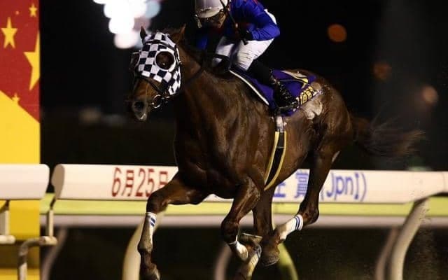 ダートGI級6勝のフリオーソが種牡馬引退 ダーレー・ジャパン公式Xが発表 20歳