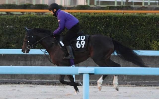 ダーヌビウスの2022(レッドイステル)など、先週のゲート試験/栗東トレセンニュース