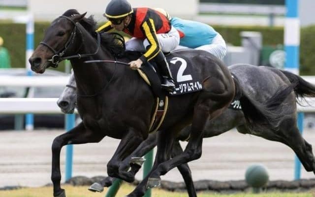 【朝日杯FS予想オッズ】ミュージアムマイルが予想1番人気