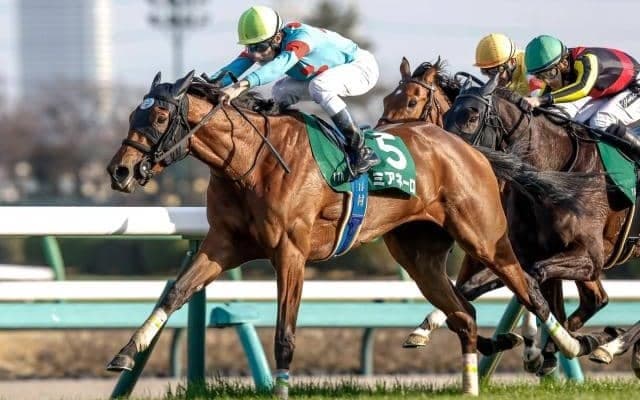 【ターコイズS予想オッズ】ミアネーロが予想1番人気