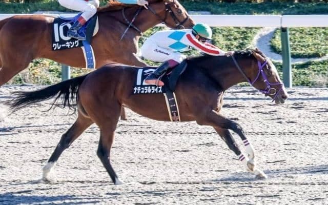 【川崎・全日本2歳優駿注目馬】ダート三冠や世界につながるダート2歳王者決定戦 中央・地方の素質馬が集う