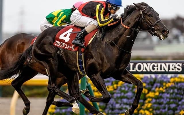 【ホープフルS想定】クロワデュノール、マジックサンズなど13頭