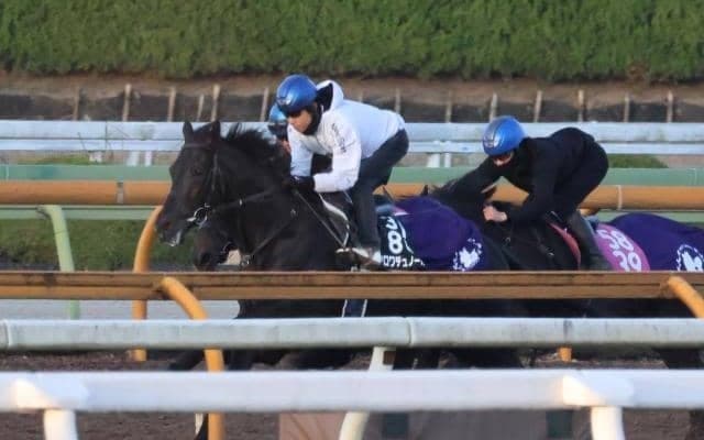 クロワデュノール、ホープフルS2週前追い切り速報/栗東トレセンニュース