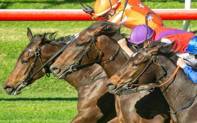 【朝日杯FS／穴ライズ】非重賞組のミュージアムマイルが人気なら……メンバー随一の成長力で浮上する単勝オッズ“2桁”想定
