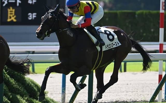 2年目田口貫太騎手がGI初制覇へ デイリー杯2歳S2着の相棒と朝日杯FSに参戦