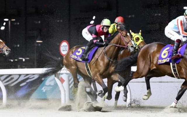 【全日本2歳優駿】小野「若干ブレーキがかかった」門別ソルジャーフィルドは3着