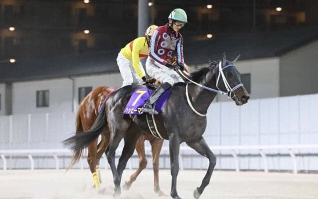 【全日本2歳優駿】坂井瑠「勝てなかったこと以外は良いレースだった」ハッピーマンは2着…重賞連勝ならず