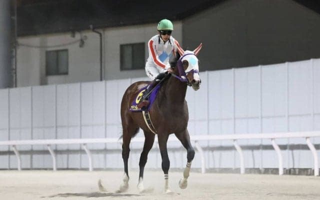 【全日本2歳優駿】横山武「現状は左回りが合わないかも」レース後ジョッキーコメント