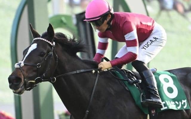 無傷3連勝で京都2歳Sを制したエリキングが骨折 3カ月以上の休養要す見込み