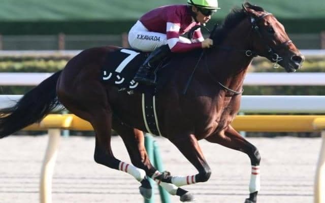“ウマ娘”藤田晋オーナーの実力馬 3連勝でオープンVなるか