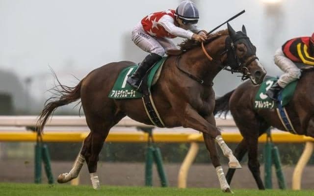 【朝日杯FS枠順確定】アルテヴェローチェは4枠8番、ミュージアムマイルは2枠4番