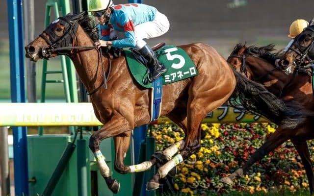 【ターコイズS枠順確定】ミアネーロは4枠7番、ドゥアイズは7枠14番