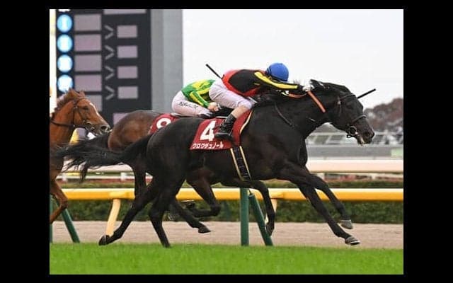 【競馬予想】ハイレベルな「２歳牡馬ランキング」２位と１位　朝日杯FS、ホープフルＳを展望