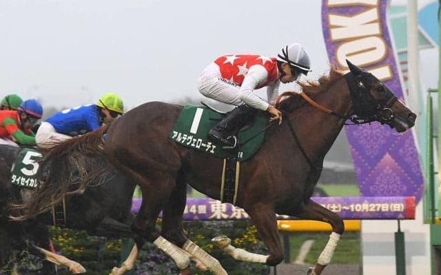 【競馬予想】朝日杯FS、ホープフルＳの行方は？　ハイレベルな「２歳牡馬ランキング」５位～３位