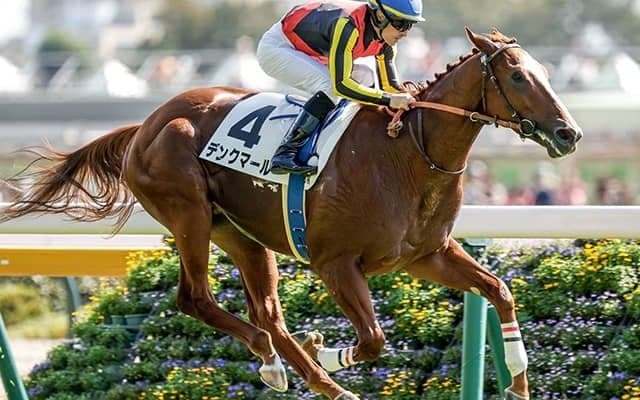 GI馬輩出の出世レース「ひいらぎ賞」2戦2勝で飛躍狙う今年の大物候補とは？