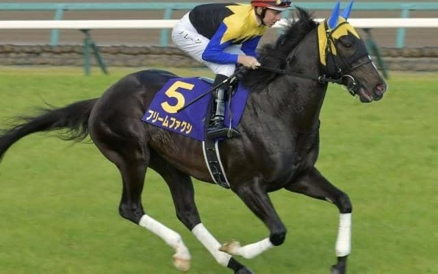 約2年ぶりの白星へダート初挑戦 昨年のきさらぎ賞覇者が惜敗続きにピリオドを打つ
