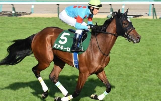 【今日の注目ポイント】中山で牝馬によるハンデ戦ターコイズS