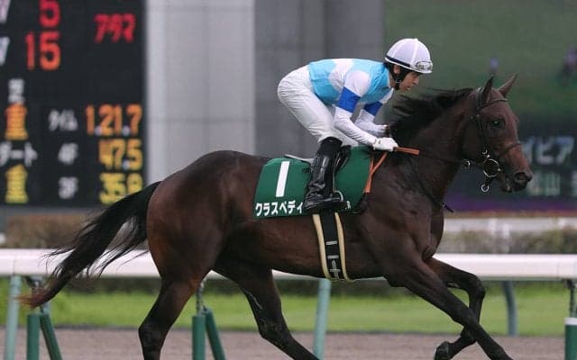 【競馬予想】朝日杯FSも京都開催で荒れる！ 穴党記者は超高額配当をもたらす伏兵２頭に白羽の矢