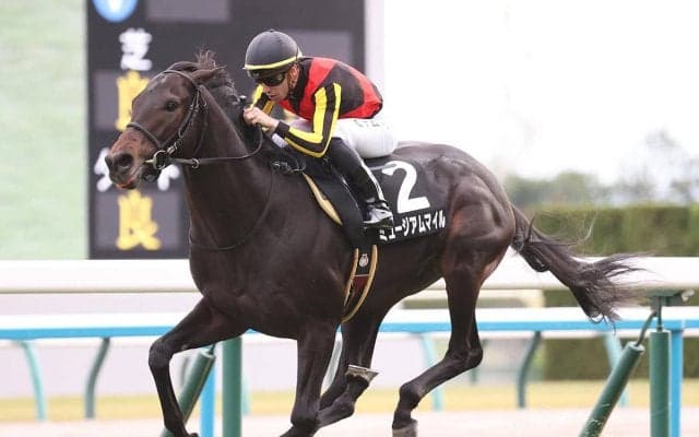 【競馬血統予想】初の京都開催の朝日杯FSは、先週に続いて「２歳戦の実績」から２頭を選ぶ