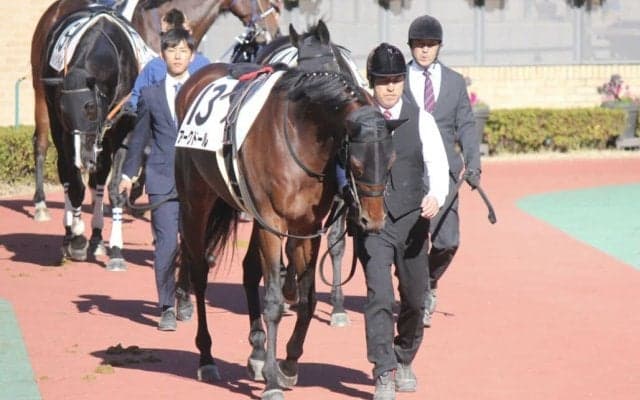 【中京7R】未勝利馬アークドールが初勝利…逃げ馬にアクシデントも