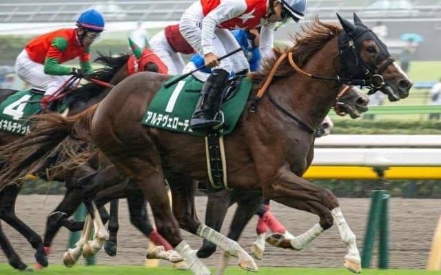 京都芝は中枠→好位-中団がベスト 朝日杯FSはアルテヴェローチェを信頼