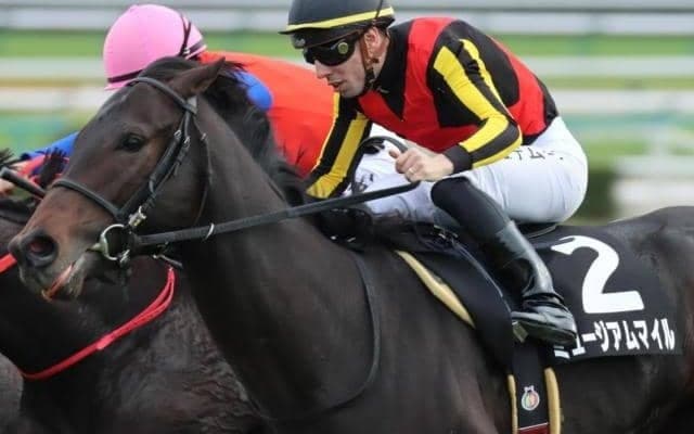 霜降り明星・粗品が朝日杯FSを予想 前走3馬身差Vのミュージアムマイルを本命抜擢