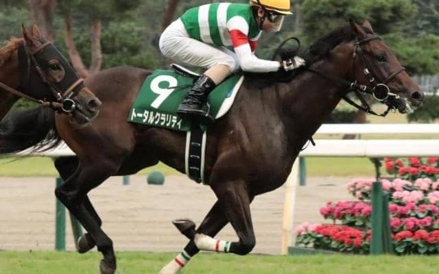 父は今年限りで種牡馬引退のバゴ 朝日杯FSを制してトータルクラリティが“最後の大物”となるか