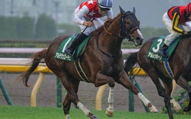 【今日の注目ポイント】京都で2歳マイル王決定戦・朝日杯FS