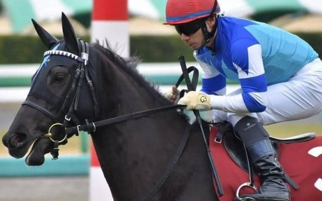 「大魔神」佐々木主浩オーナーの良血 クラヴァンスがデビューVなるか